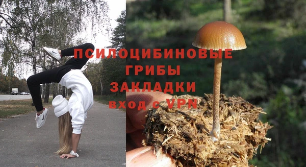 ECSTASY Белоозёрский