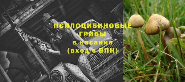 прущая мука Слюдянка