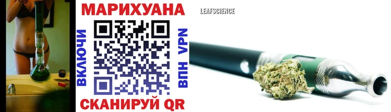 Бошки марихуана Amnesia  Красный Холм 